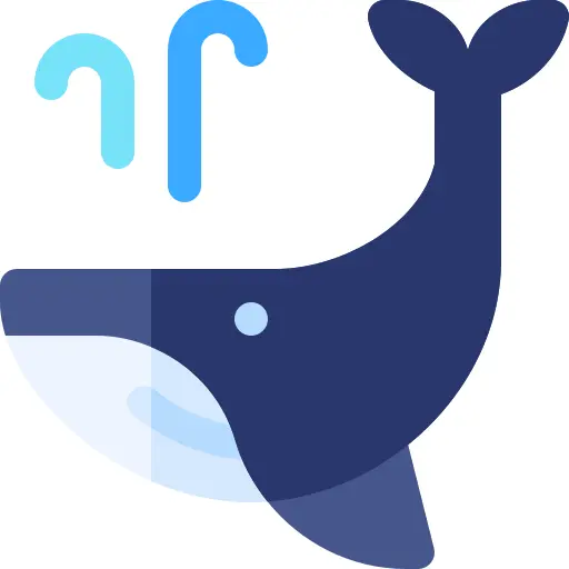Whale