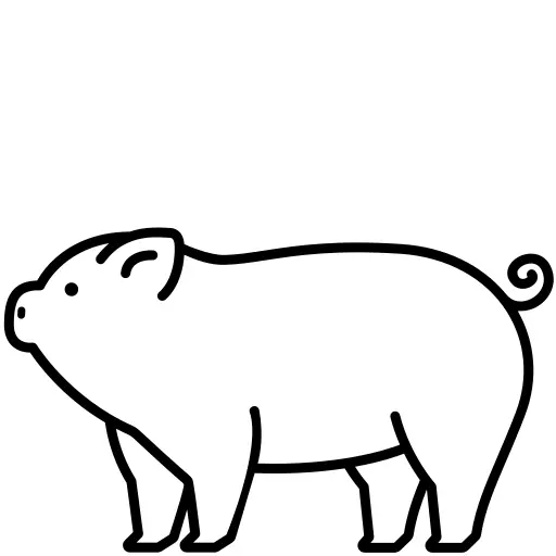 Pig