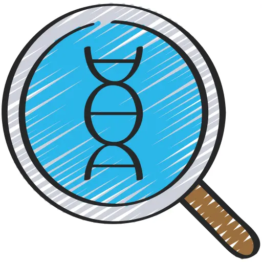 Dna structure
