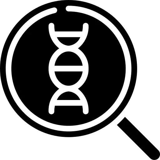 Dna structure