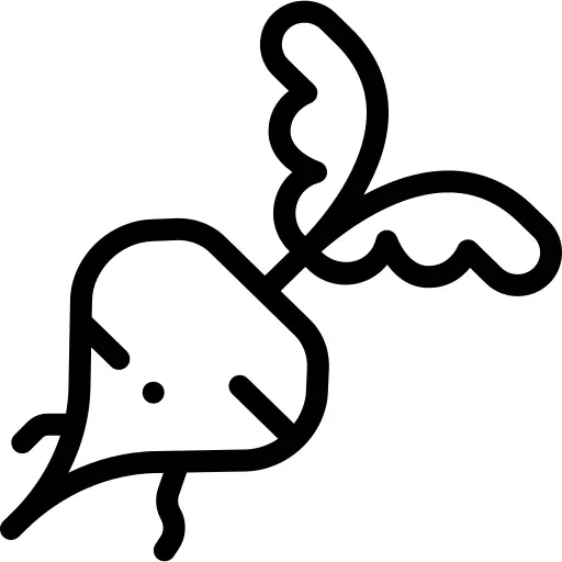 Radish