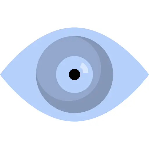 Eye