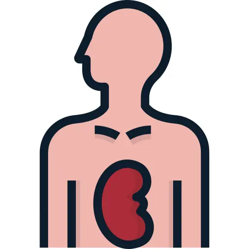 Organ donation