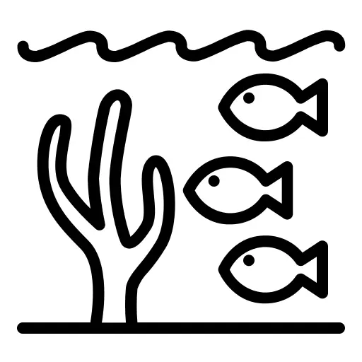 海