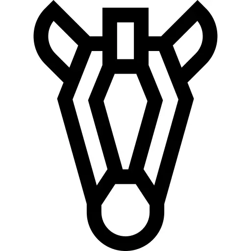 斑马