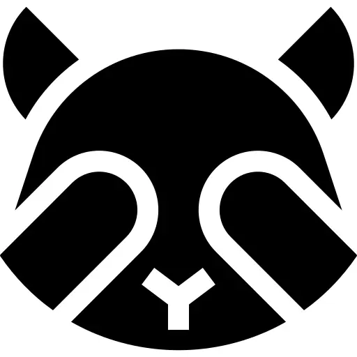 浣熊