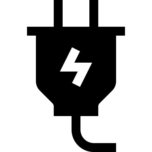 Plug