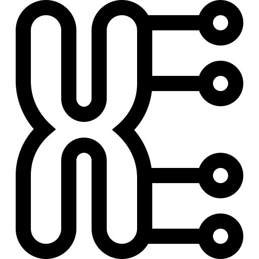 Chromosome