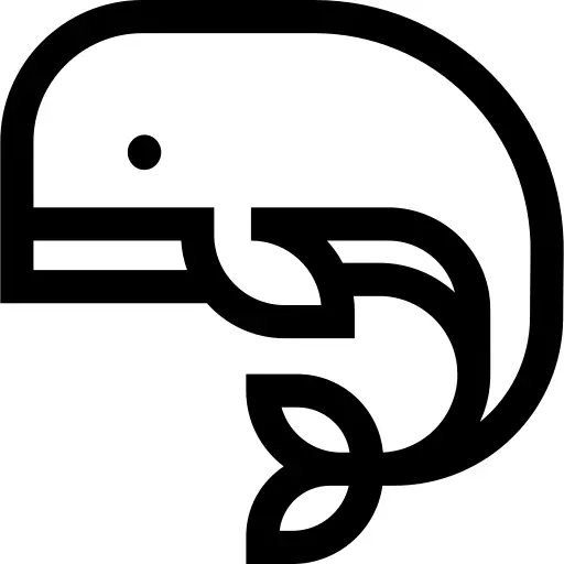 Whale