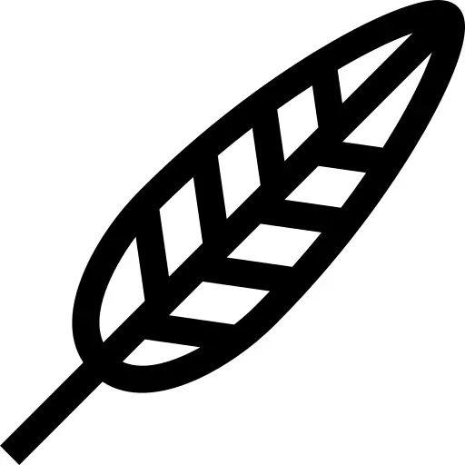 羽毛