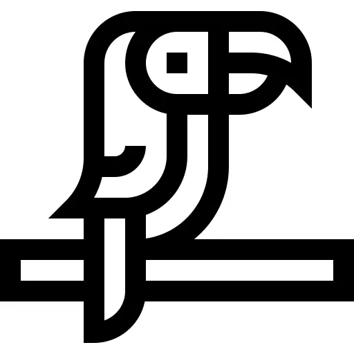 Parrot