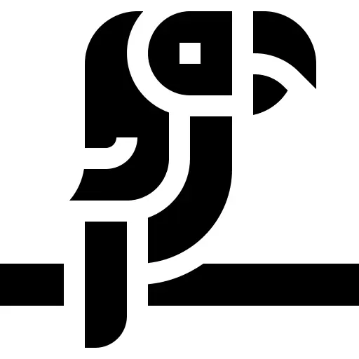 鹦鹉