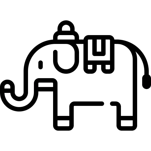 象