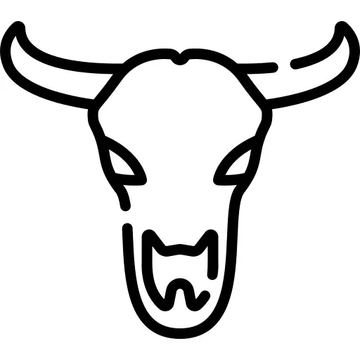 Cow skull