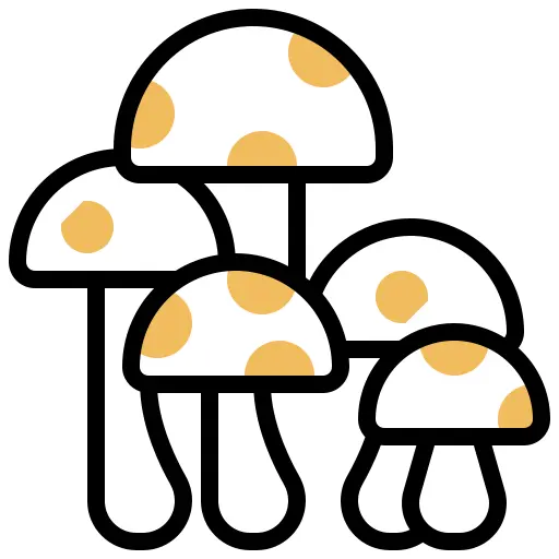 蘑菇