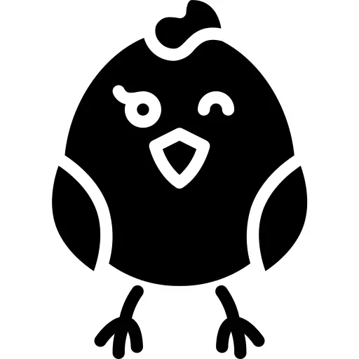 小鸡