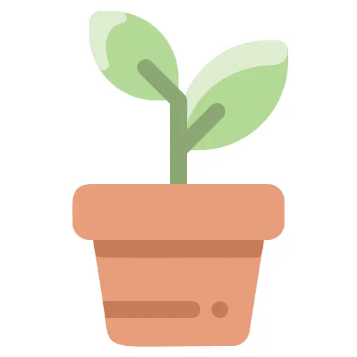 Sprout