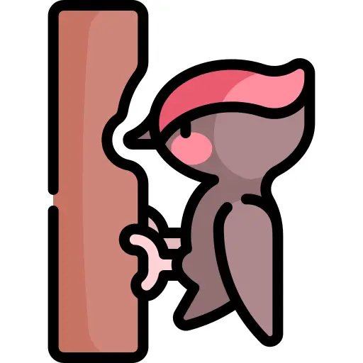 Woodpecker