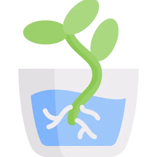 Plant pot