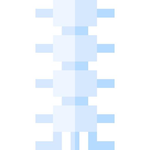 脊柱