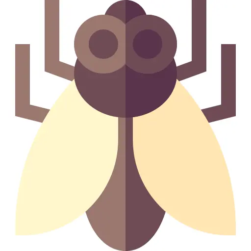 Fly