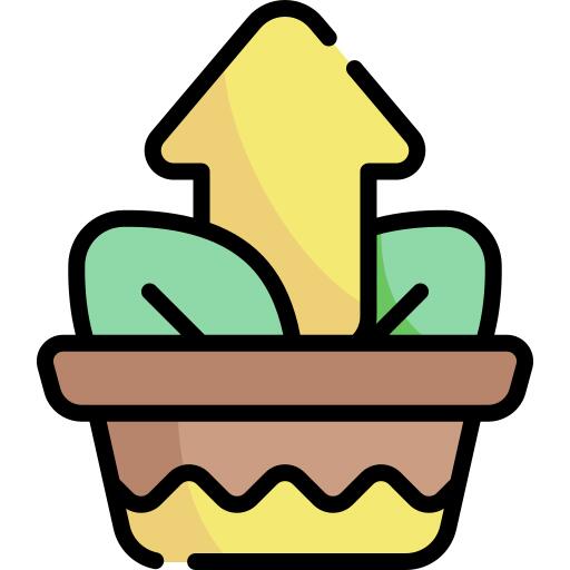 Growth