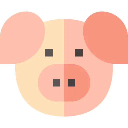 Pig