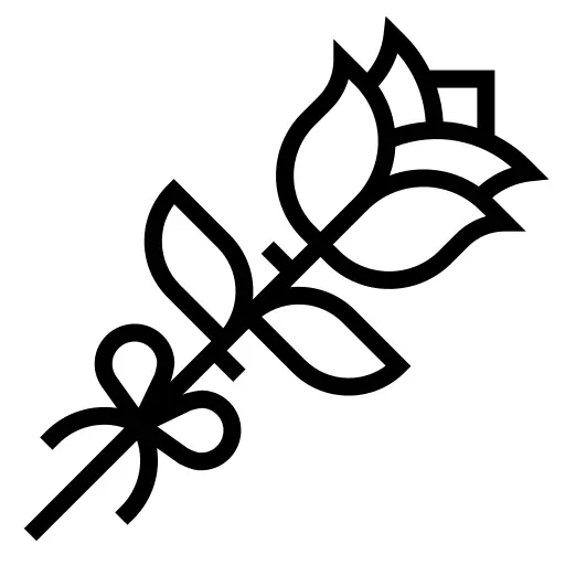 玫瑰