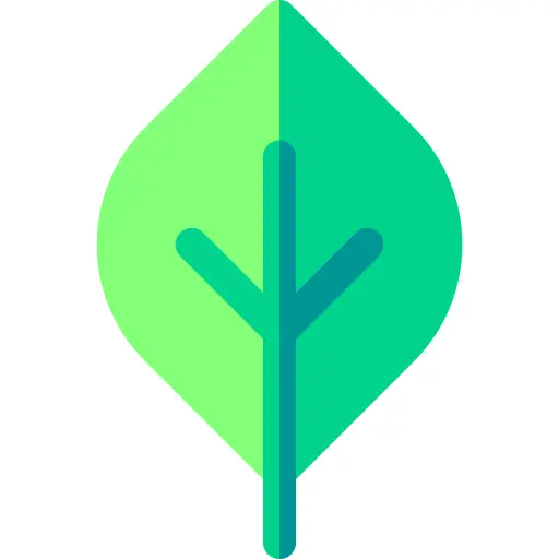 Leaf