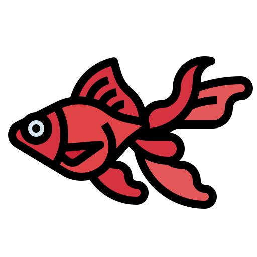Goldfish