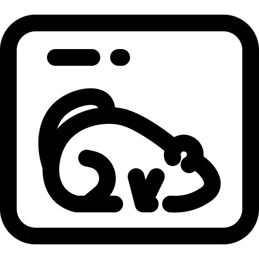 土拨鼠