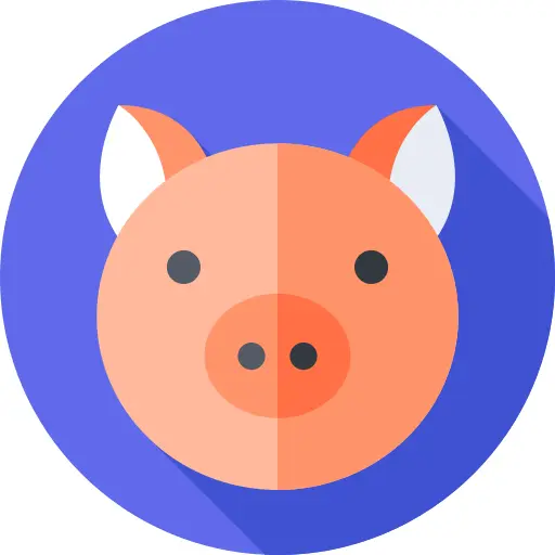 Pig