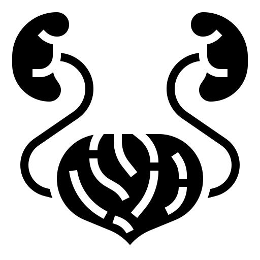 肾