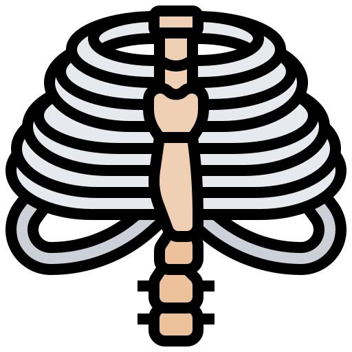 Thorax