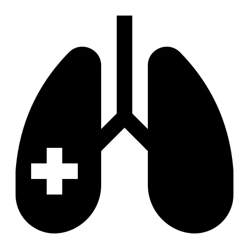Lungs