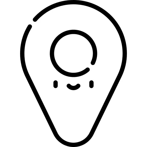 Pin