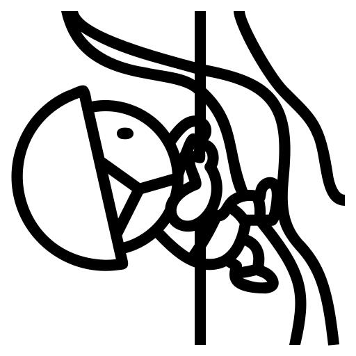 攀登
