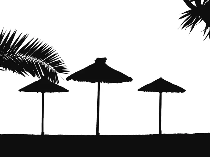 Tropical beach silhouette