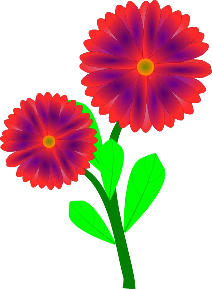 Flowers clip art vector graphics
