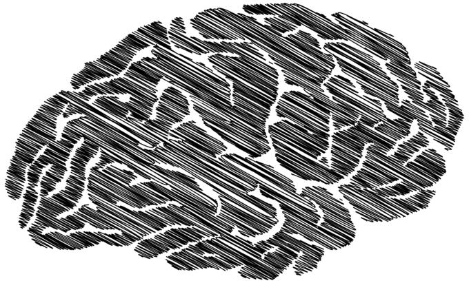 Sketched brain silhouette