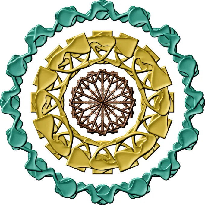 Colorful mandala image