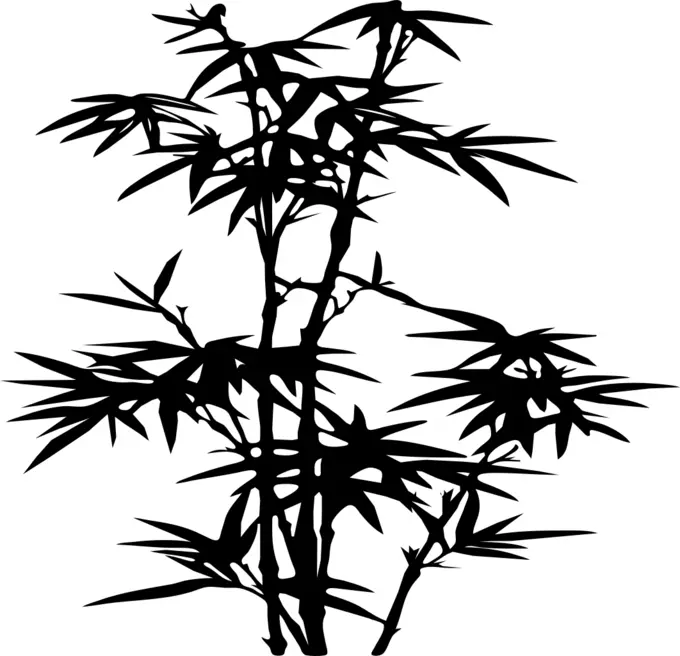 Bamboo silhouette image