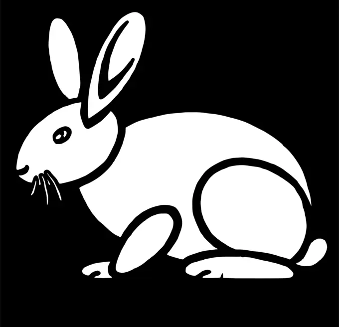 Simple rabbit