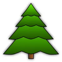 Evergreen tree image