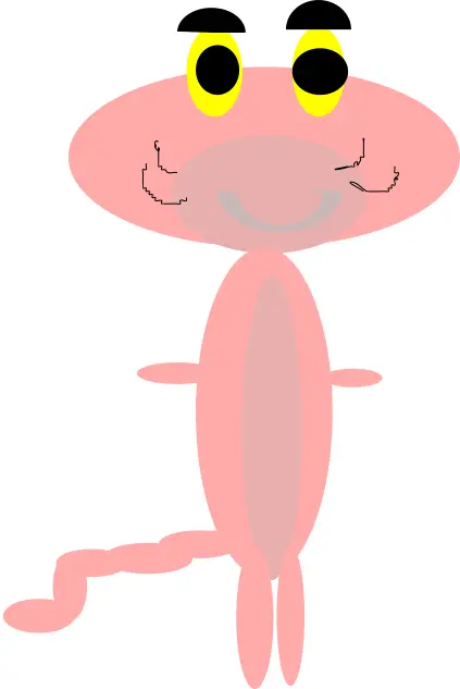 Pink panther