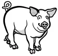 Pig