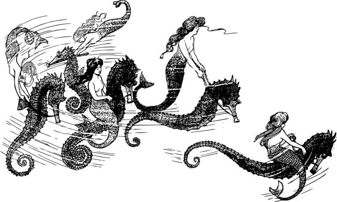 Vector image of mermaids riding on friendly seahorses