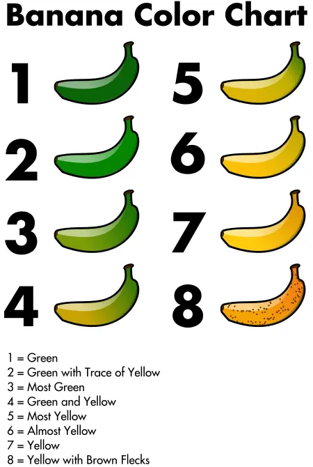 Banana color chart graphics