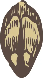 Vector clip art of pine seed