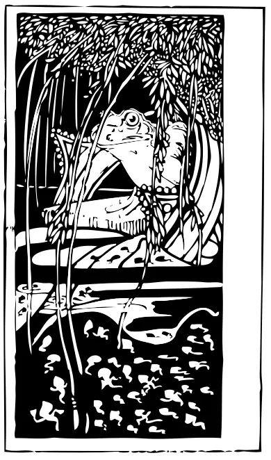 Vector drawing of frog